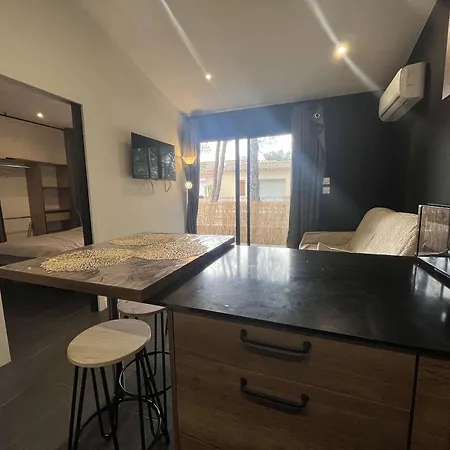 T2 Avec Piscine Et Parking, Cap D'agde - Fr-1-249-430 아그